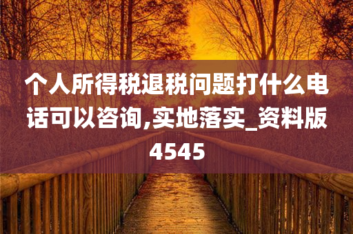 个人所得税退税问题打什么电话可以咨询,实地落实_资料版4545