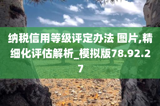 纳税信用等级评定办法 图片,精细化评估解析_模拟版78.92.27