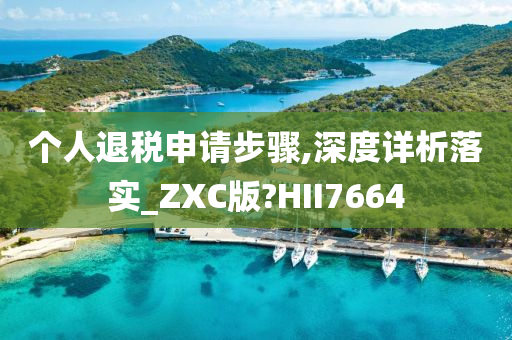 个人退税申请步骤,深度详析落实_ZXC版?HII7664