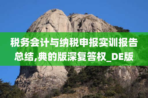 税务会计与纳税申报实训报告总结,典的版深复答权_DE版