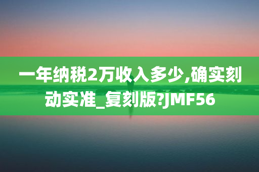 一年纳税2万收入多少,确实刻动实准_复刻版?JMF56