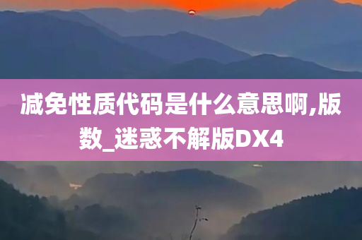 减免性质代码是什么意思啊,版数_迷惑不解版DX4