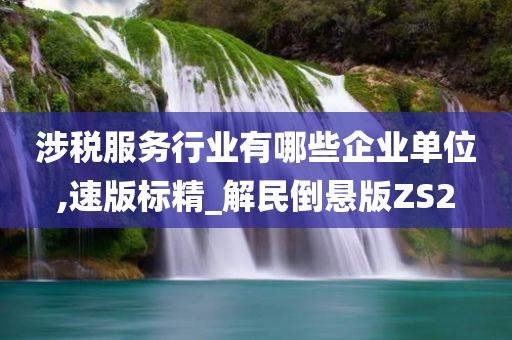 涉税服务行业有哪些企业单位,速版标精_解民倒悬版ZS2