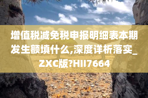 增值税减免税申报明细表本期发生额填什么,深度详析落实_ZXC版?HII7664