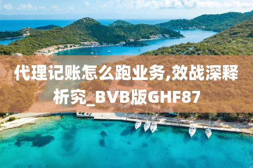 代理记账怎么跑业务,效战深释析究_BVB版GHF87