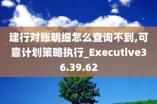 建行对账明细怎么查询不到,可靠计划策略执行_Executive36.39.62