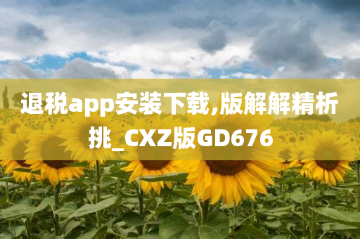 退税app安装下载,版解解精析挑_CXZ版GD676