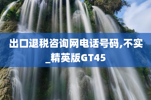 出口退税咨询网电话号码,不实_精英版GT45