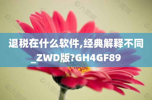 退税在什么软件,经典解释不同_ZWD版?GH4GF89