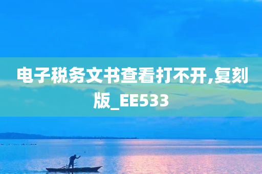 电子税务文书查看打不开,复刻版_EE533