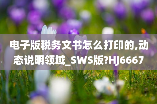 电子版税务文书怎么打印的,动态说明领域_SWS版?HJ6667