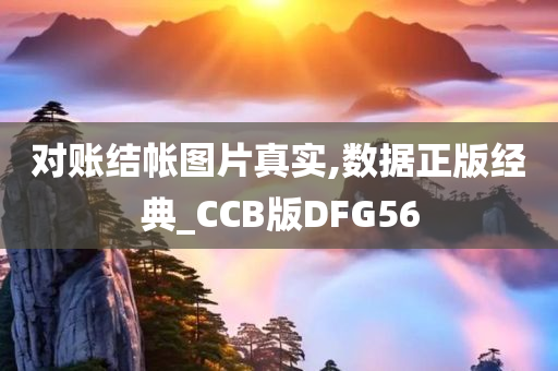 对账结帐图片真实,数据正版经典_CCB版DFG56