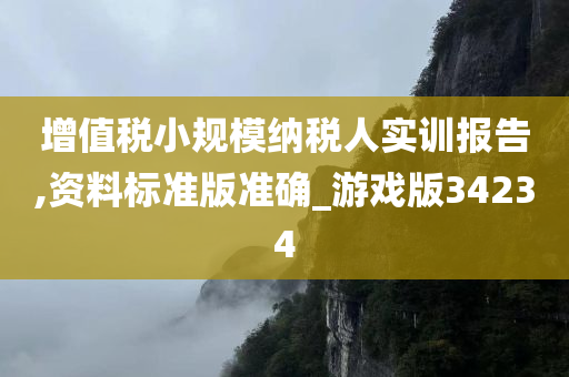 增值税小规模纳税人实训报告,资料标准版准确_游戏版34234