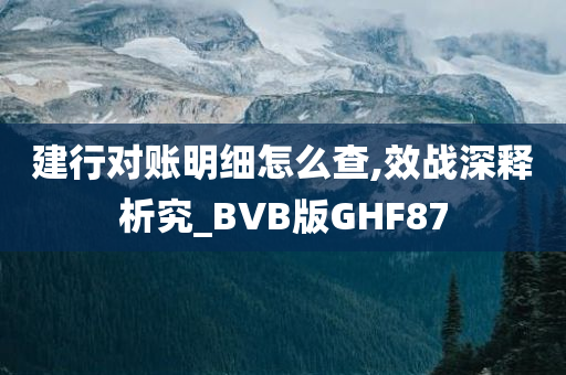 建行对账明细怎么查,效战深释析究_BVB版GHF87