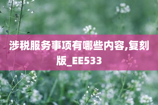 涉税服务事项有哪些内容,复刻版_EE533