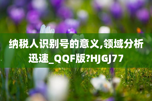 纳税人识别号的意义,领域分析迅速_QQF版?HJGJ77