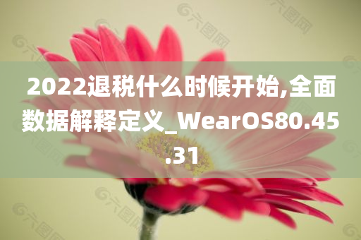 2022退税什么时候开始,全面数据解释定义_WearOS80.45.31