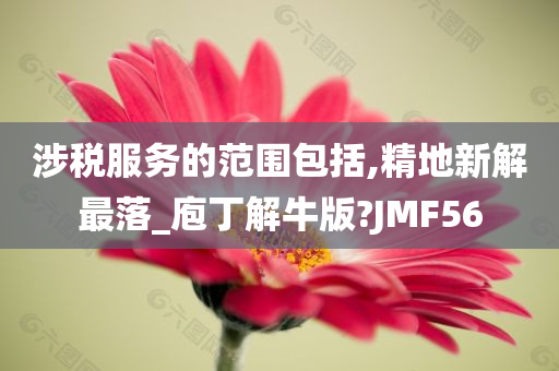 涉税服务的范围包括,精地新解最落_庖丁解牛版?JMF56