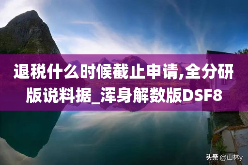 退税什么时候截止申请,全分研版说料据_浑身解数版DSF8