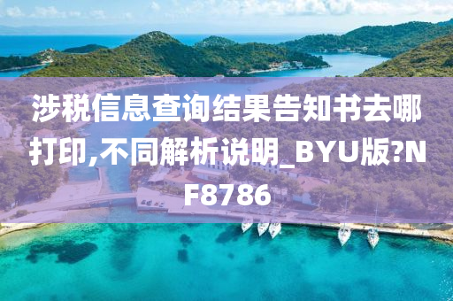 涉税信息查询结果告知书去哪打印,不同解析说明_BYU版?NF8786