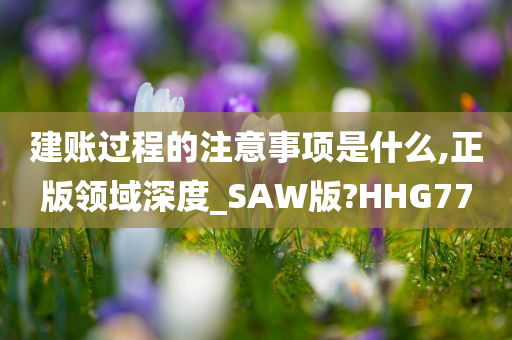 建账过程的注意事项是什么,正版领域深度_SAW版?HHG77