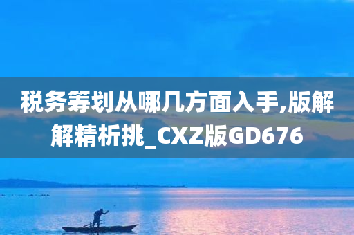 税务筹划从哪几方面入手,版解解精析挑_CXZ版GD676