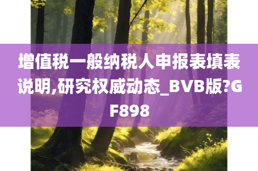 增值税一般纳税人申报表填表说明,研究权威动态_BVB版?GF898