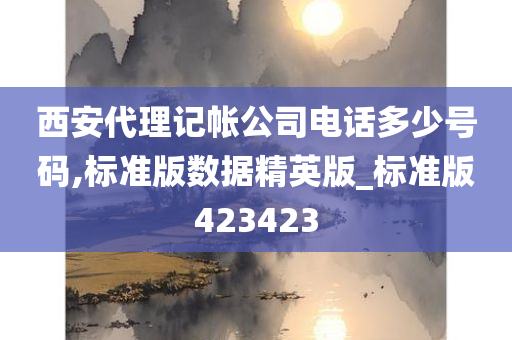 西安代理记帐公司电话多少号码,标准版数据精英版_标准版423423