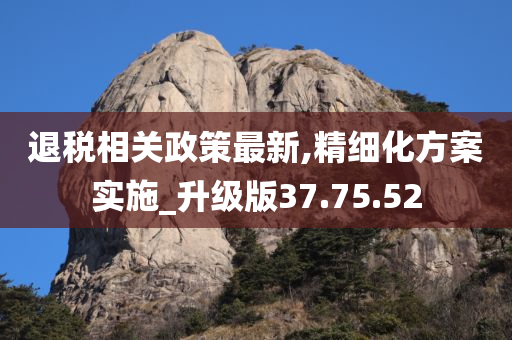 退税相关政策最新,精细化方案实施_升级版37.75.52