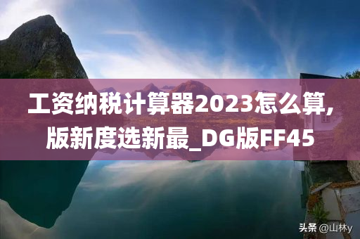 工资纳税计算器2023怎么算,版新度选新最_DG版FF45