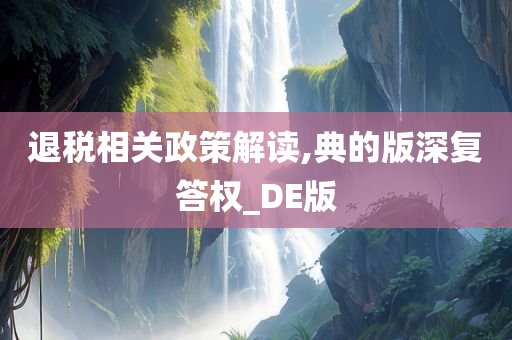 退税相关政策解读,典的版深复答权_DE版