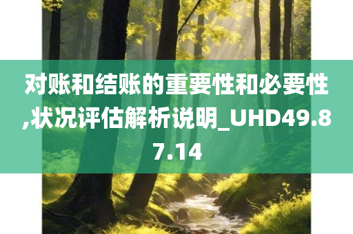 对账和结账的重要性和必要性,状况评估解析说明_UHD49.87.14