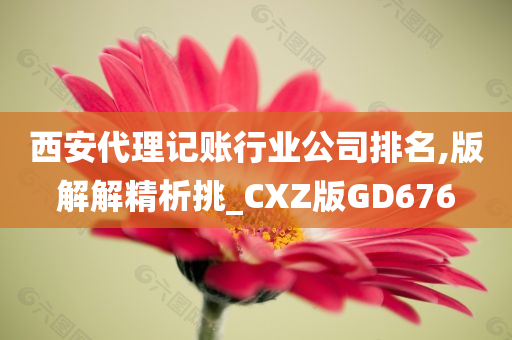 西安代理记账行业公司排名,版解解精析挑_CXZ版GD676