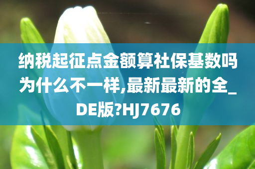 纳税起征点金额算社保基数吗为什么不一样,最新最新的全_DE版?HJ7676