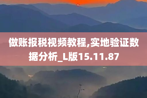 做账报税视频教程,实地验证数据分析_L版15.11.87