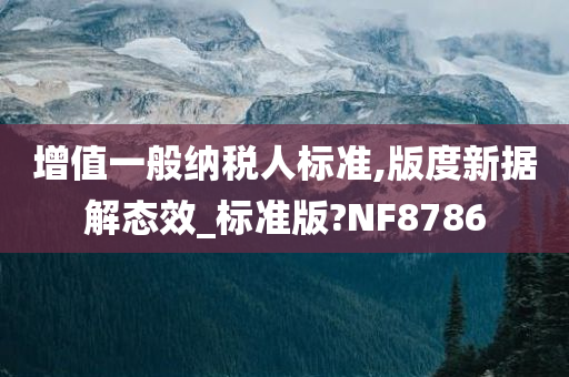 增值一般纳税人标准,版度新据解态效_标准版?NF8786