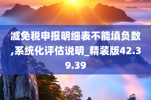 减免税申报明细表不能填负数,系统化评估说明_精装版42.39.39