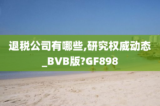 退税公司有哪些,研究权威动态_BVB版?GF898