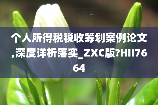 个人所得税税收筹划案例论文,深度详析落实_ZXC版?HII7664