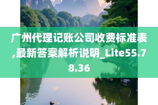 广州代理记账公司收费标准表,最新答案解析说明_Lite55.78.36