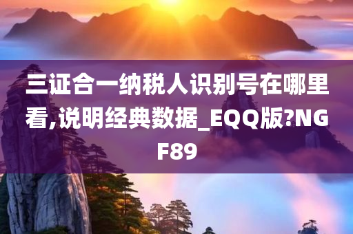 三证合一纳税人识别号在哪里看,说明经典数据_EQQ版?NGF89