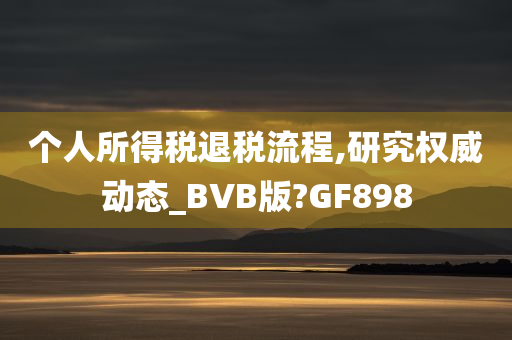 个人所得税退税流程,研究权威动态_BVB版?GF898