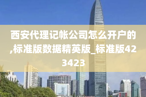 西安代理记帐公司怎么开户的,标准版数据精英版_标准版423423