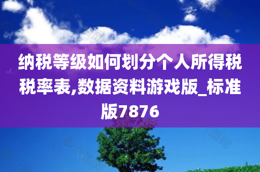 纳税等级如何划分个人所得税税率表,数据资料游戏版_标准版7876