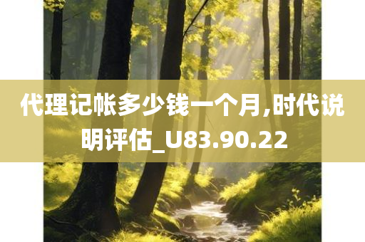 代理记帐多少钱一个月,时代说明评估_U83.90.22