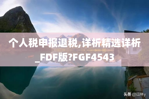 个人税申报退税,详析精选详析_FDF版?FGF4543