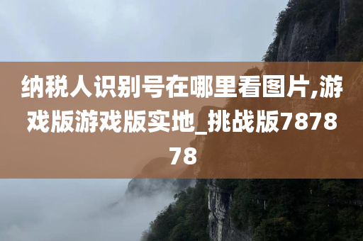 纳税人识别号在哪里看图片,游戏版游戏版实地_挑战版787878