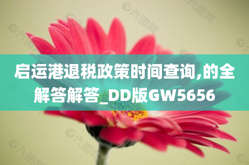 启运港退税政策时间查询,的全解答解答_DD版GW5656