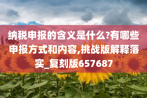 纳税申报的含义是什么?有哪些申报方式和内容,挑战版解释落实_复刻版657687