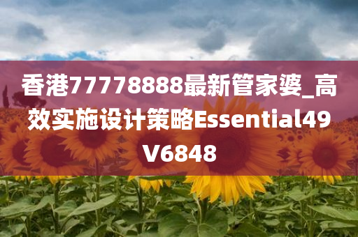 香港77778888最新管家婆_高效实施设计策略Essential49V6848